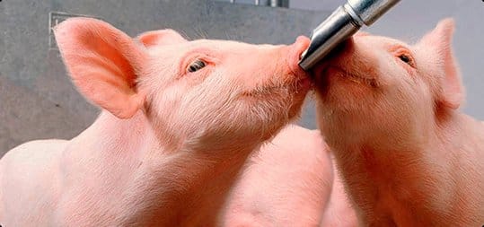 KSG Agro інвестує у створення автономної системи водопостачання
