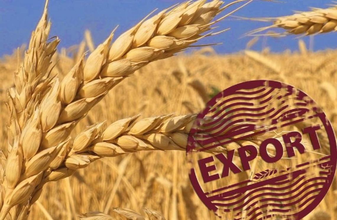KSG Agro exported 4.2 thousand tons of grain in the first quarter of 2023