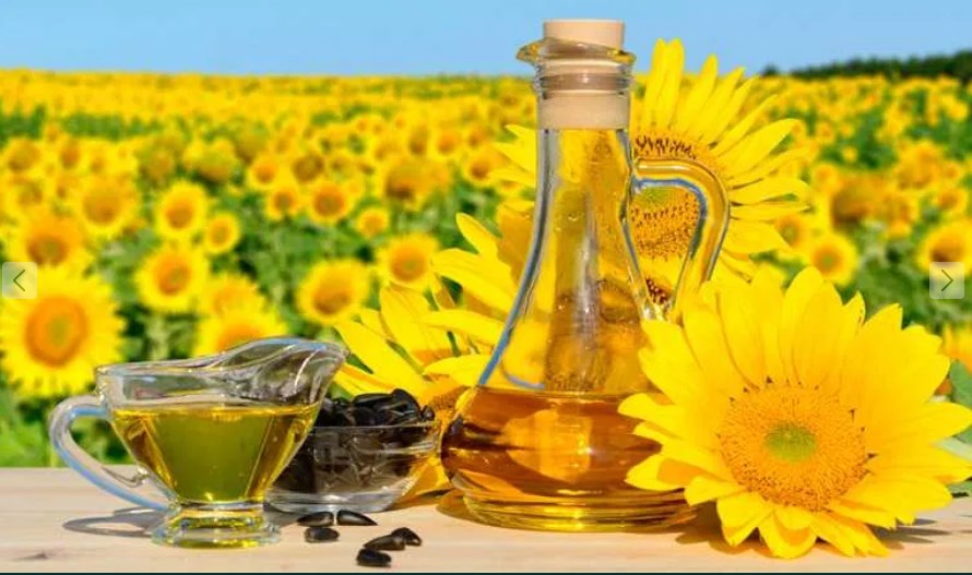 KSG Agro started export deliveries of rapeseed and sunflower oil to EU