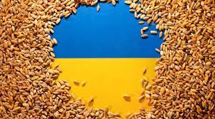 KSG Agro wyeksportowało 4600 ton pszenicy do Hiszpanii