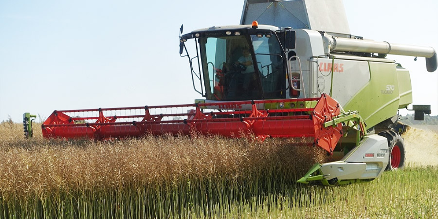KSG Agro zakończyło kampanię zbiorów zbóż ozimych w 2023 r. na powierzchni około 6,34 tys. hektarów